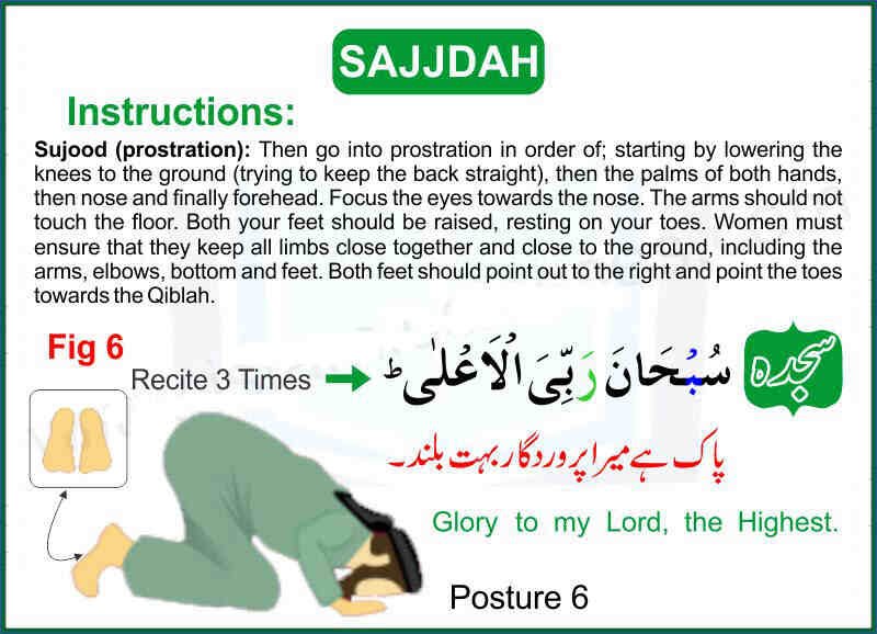 Sajdah | How To Pray Namaz | How to Pray Salah 